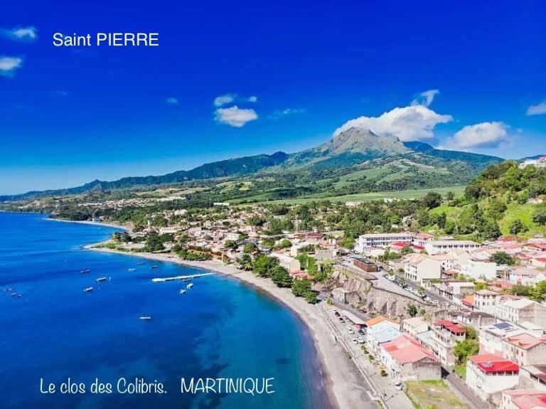 Lodge Colibris Piscine Privee Vue Panoramique Mer Et Montagne Pelee , 500 M Plage Dans Un Parc , Calme Assure Ideal Pour Decouvrir Le Nord Caraibes Ле-Карбе Экстерьер фото
